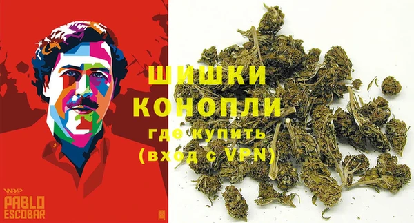 гидра Белокуриха