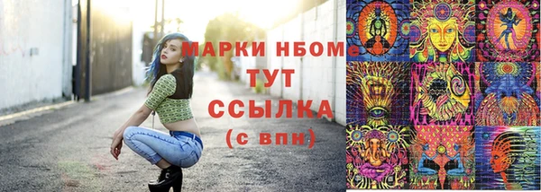 гидра Белокуриха