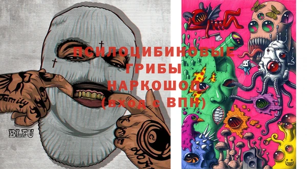 гидра Белокуриха