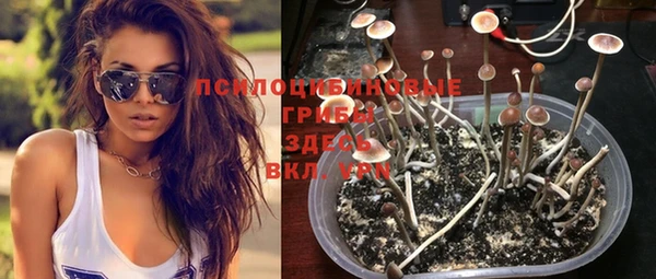 MDMA Premium VHQ Беломорск