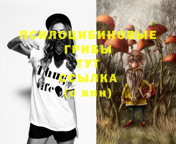 гидра Белокуриха