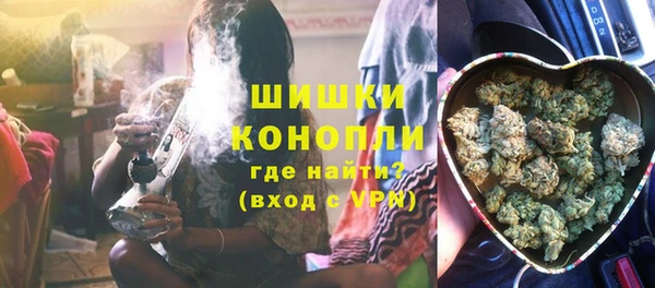 гидра Белокуриха