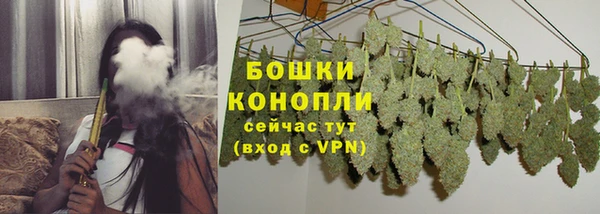 гидра Белокуриха