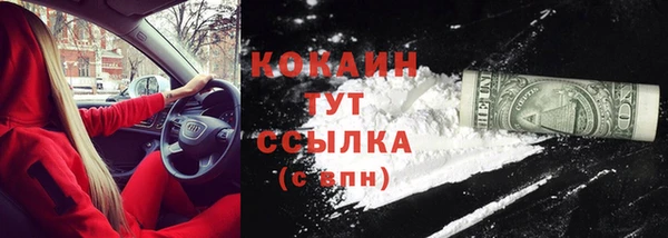 гидра Белокуриха